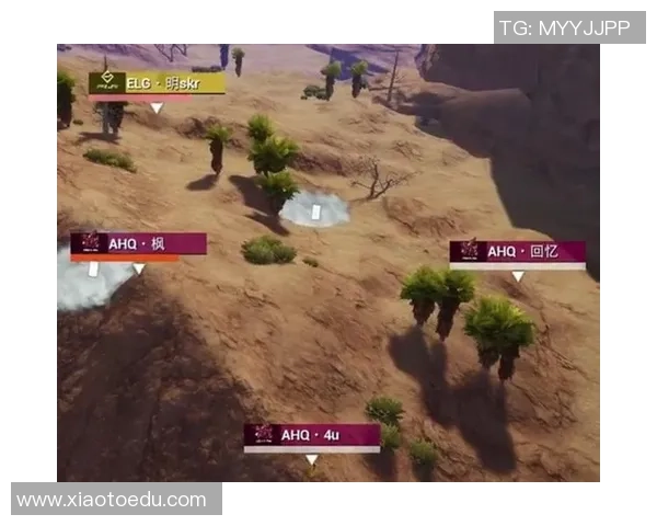 热议和平精英：FPX如何在竞技场上实现快速转型与突破